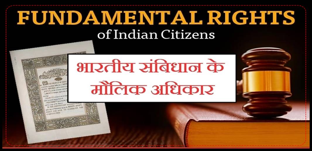 Fundamental Rights Articles